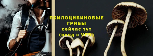 2c-b Кукмор