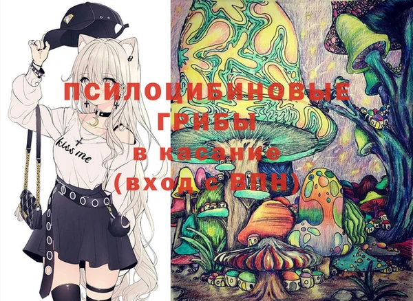 2c-b Кукмор
