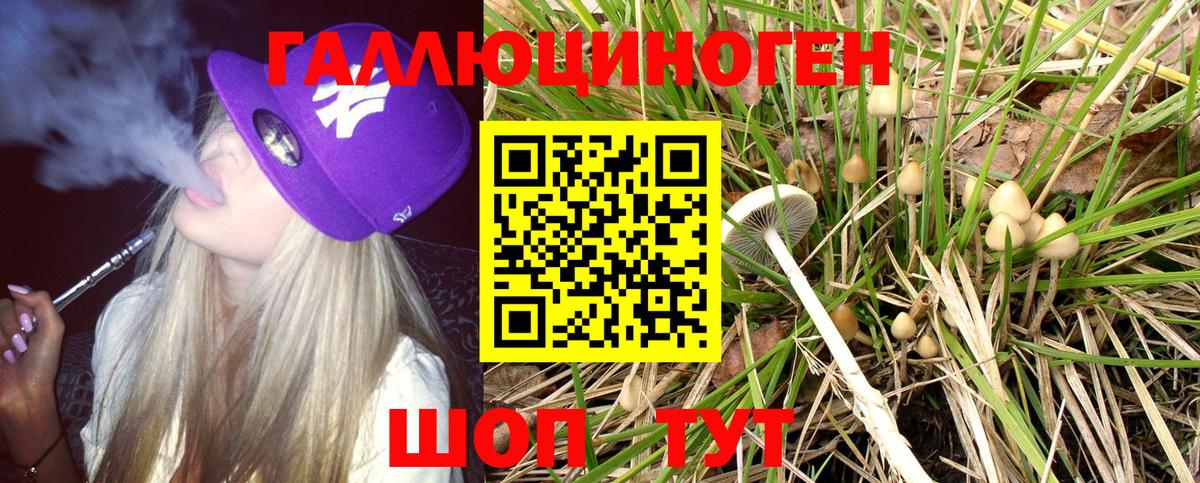 МЕФ Сунжа