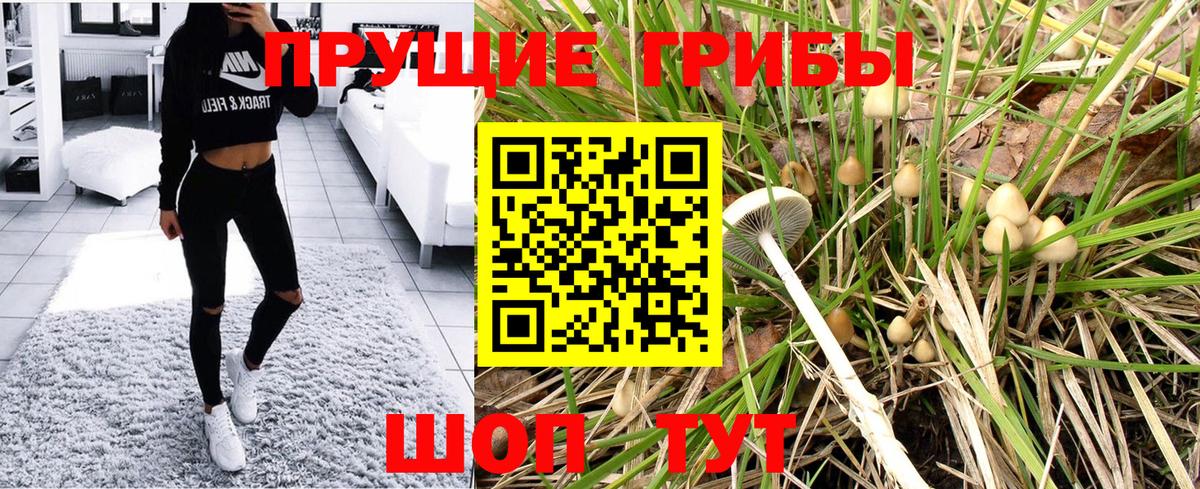 Галлюциногенные грибы мухоморы Сунжа