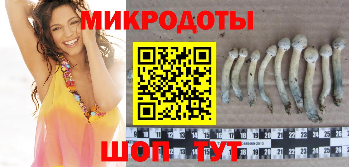 Галлюциногенные грибы Psilocybe  Псилоцибиновые грибы Cubensis  Вход с VPN  Сунжа 