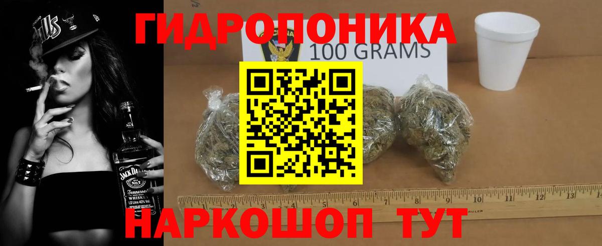 Шишки марихуана тримм  Марихуана конопля  Вход с VPN  Сунжа 